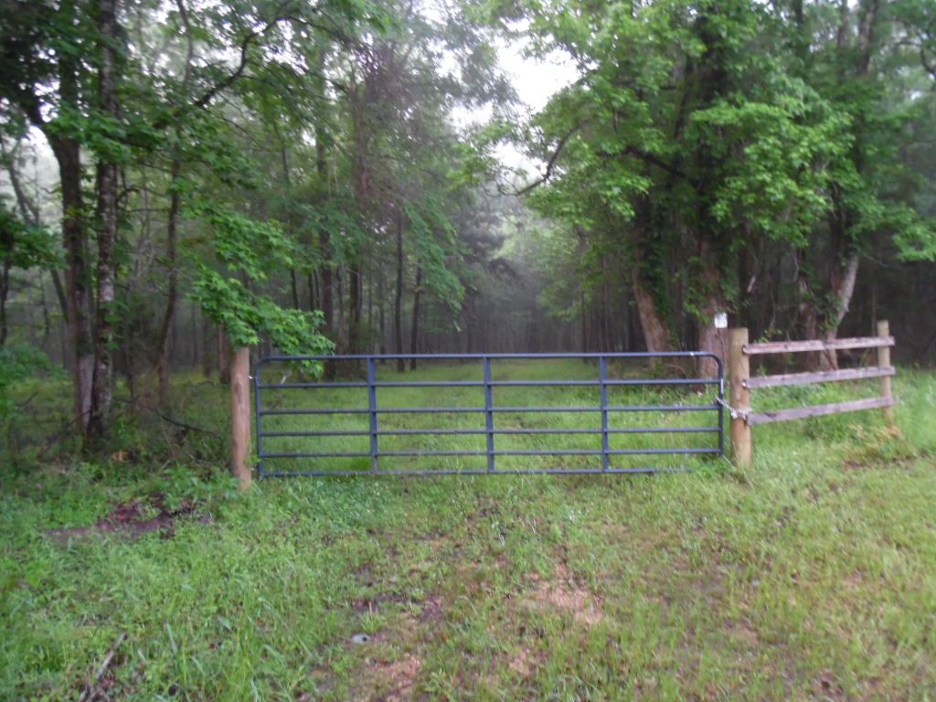 172 acres in West Feliciana Parish, Louisiana