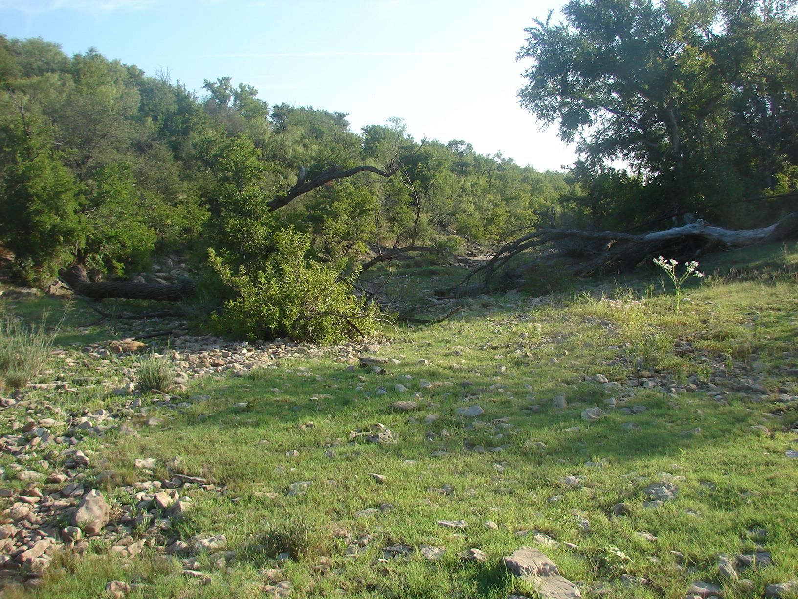 176.18 acres in Callahan County, Texas