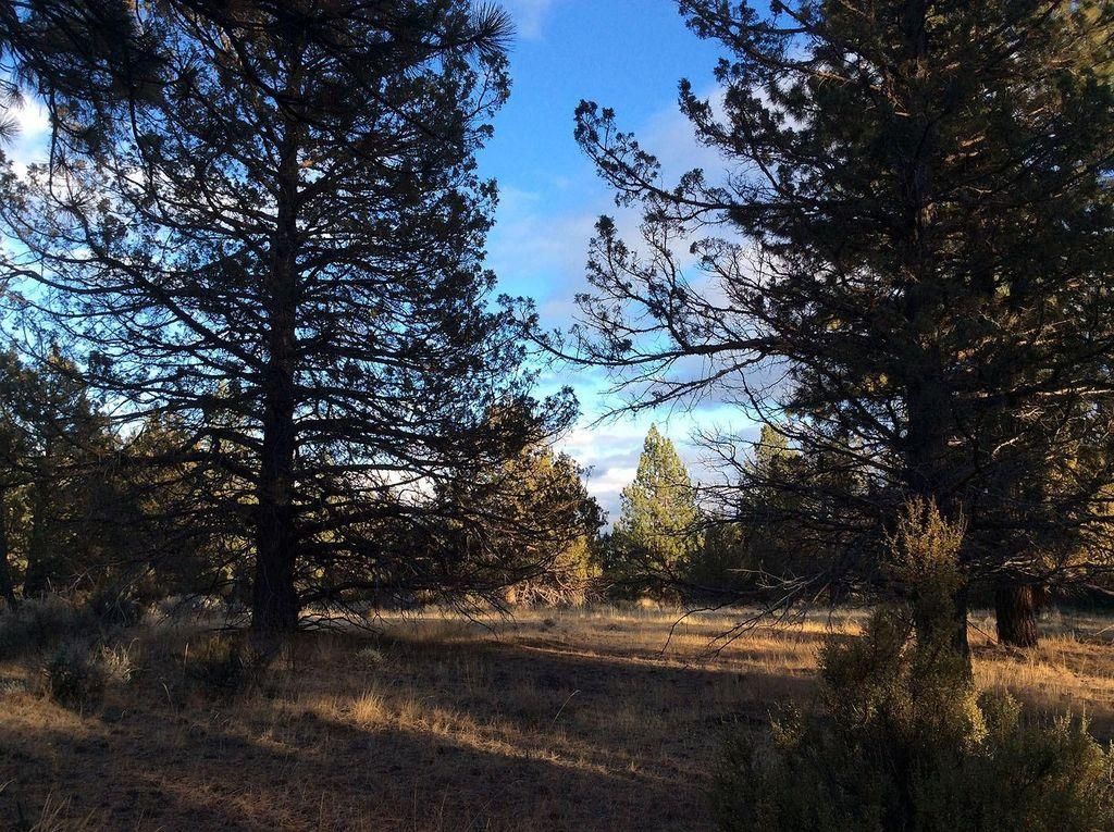 1.44 acres in Klamath County, Oregon