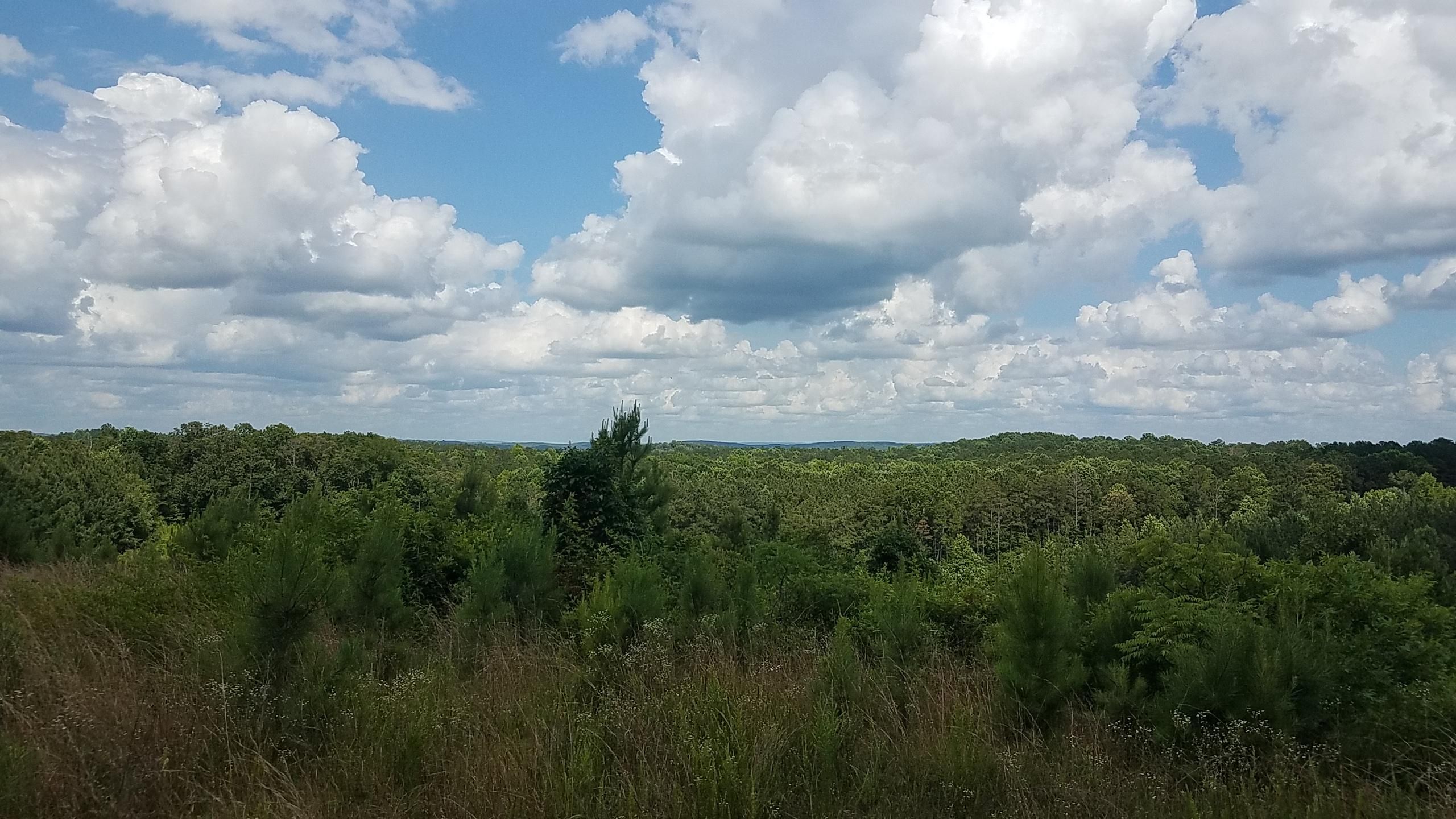 56 acres in Clay County, Alabama