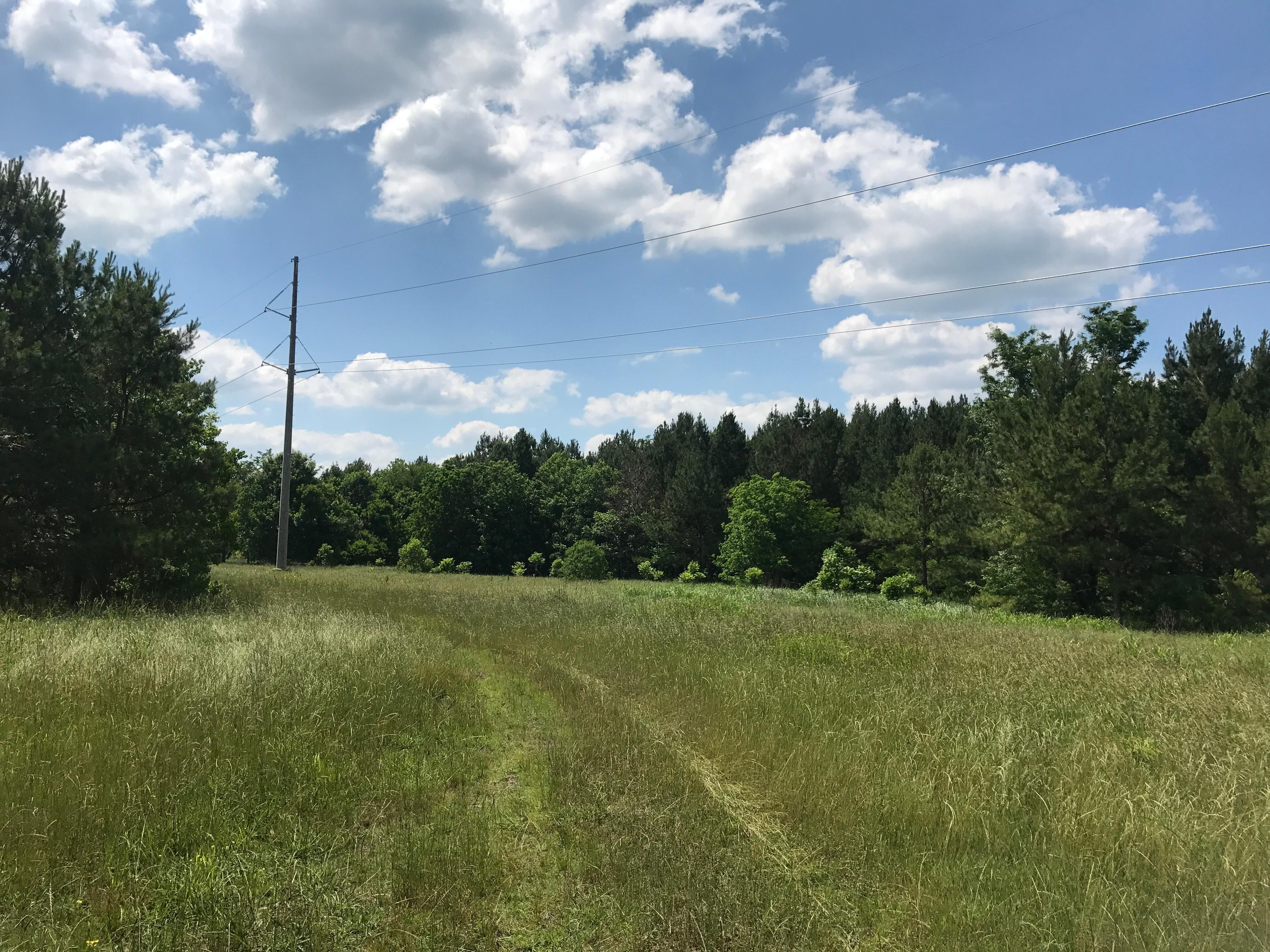 400 acres in Rankin County, Mississippi