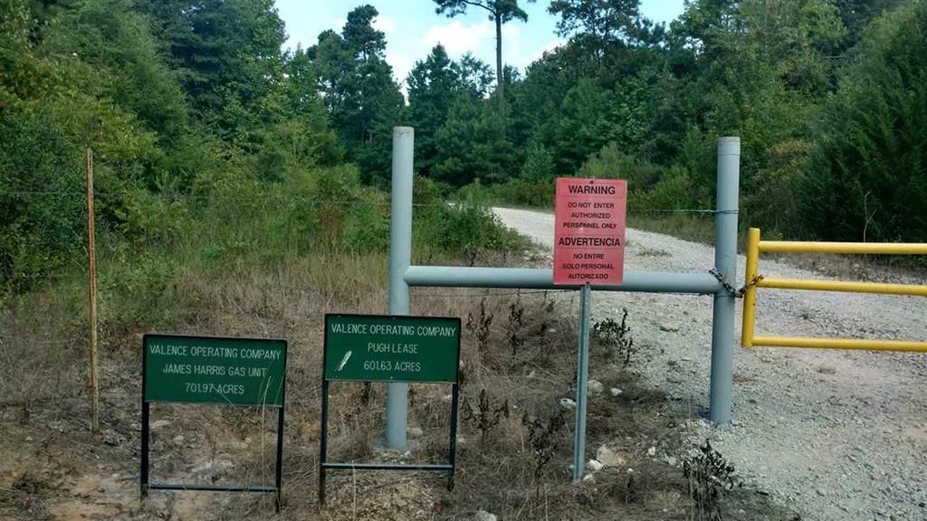 50 acres in Harrison County, Texas