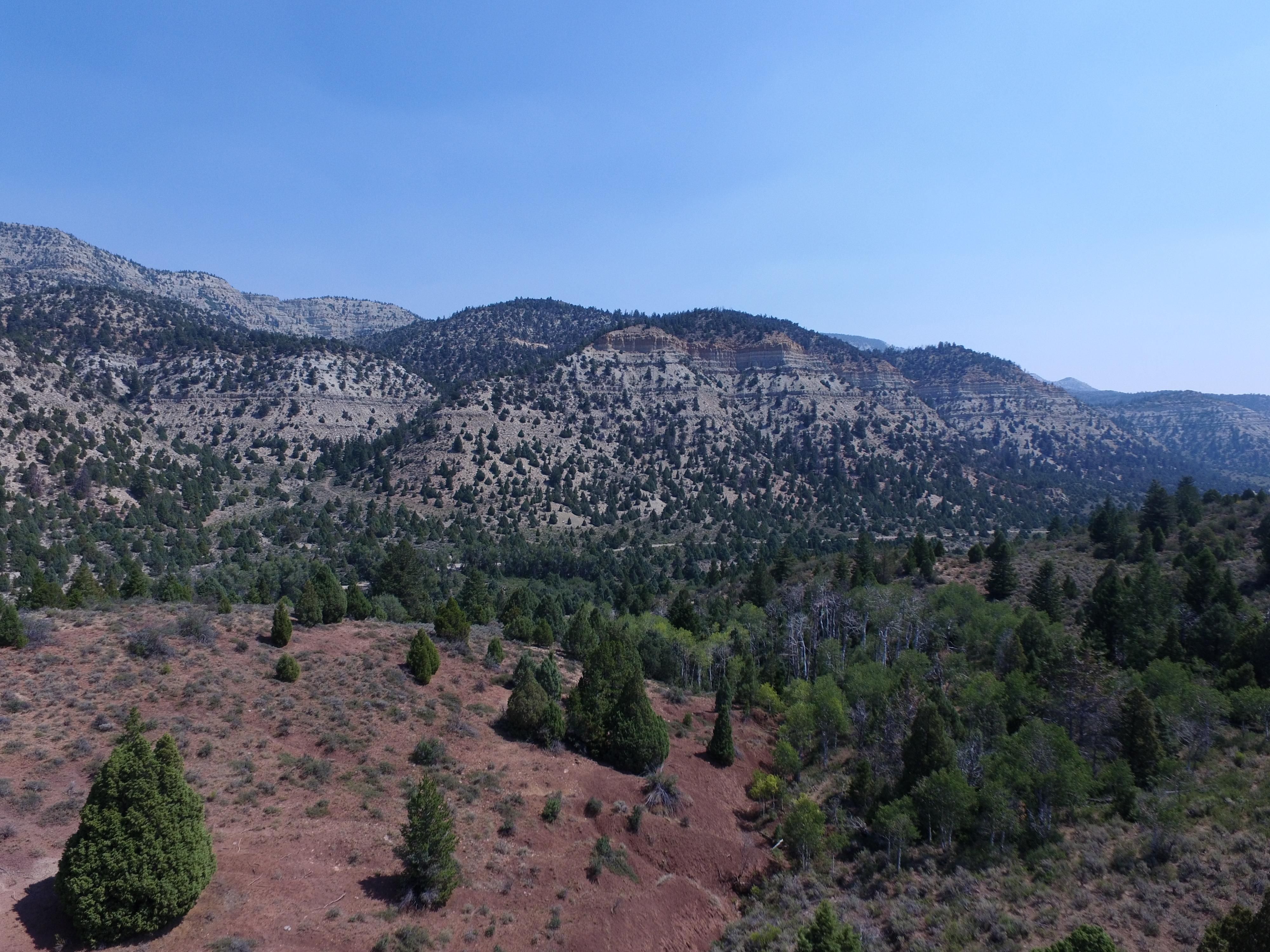40 acres in Carbon County, Utah