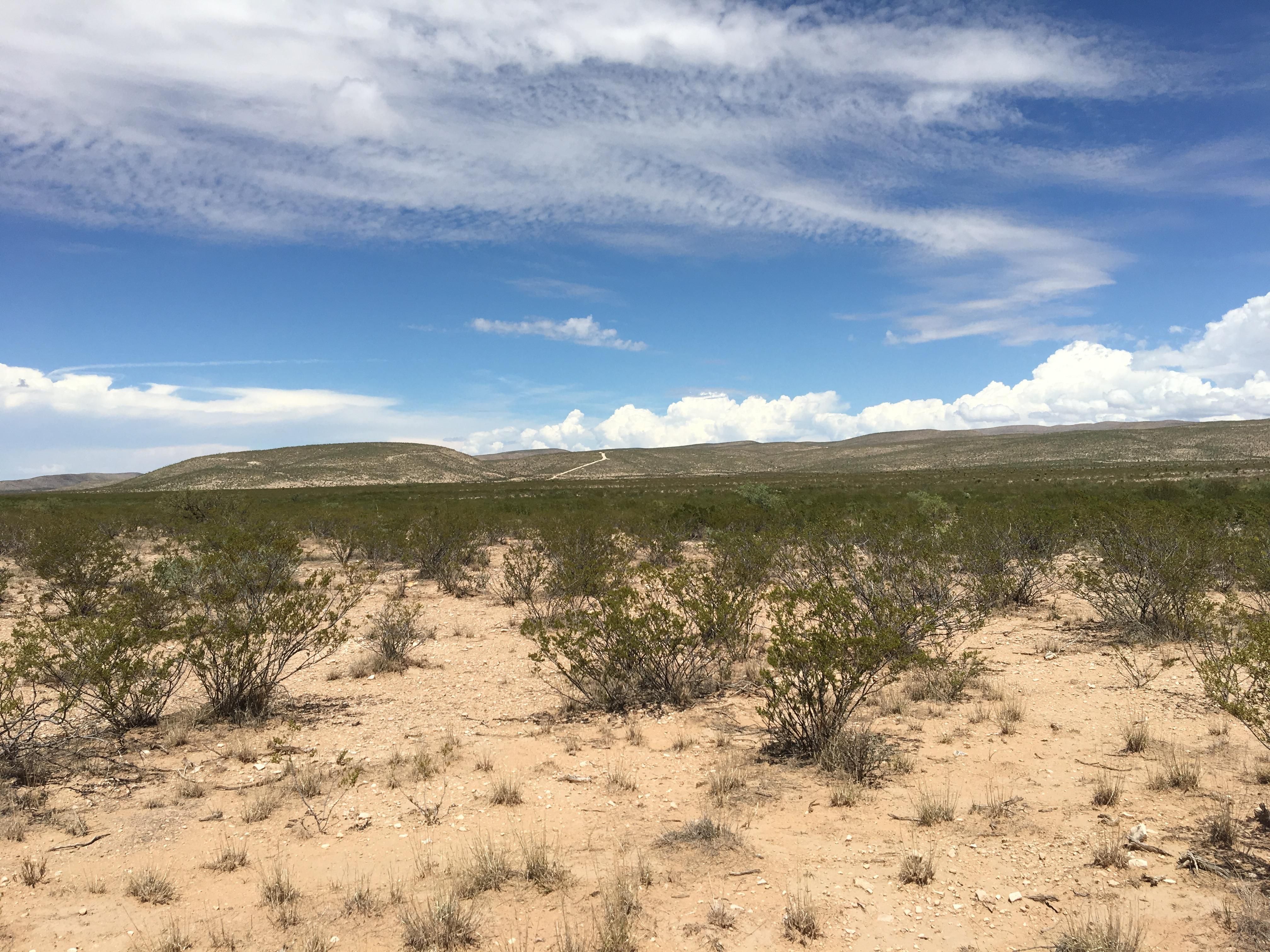 120 acres in Culberson County, Texas