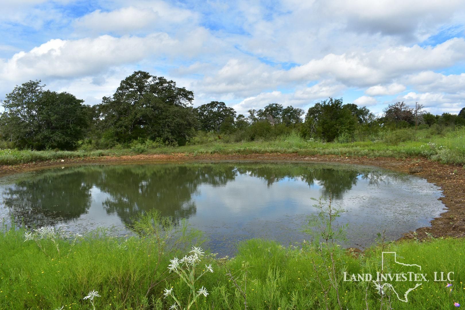 50 acres in Bastrop County, Texas