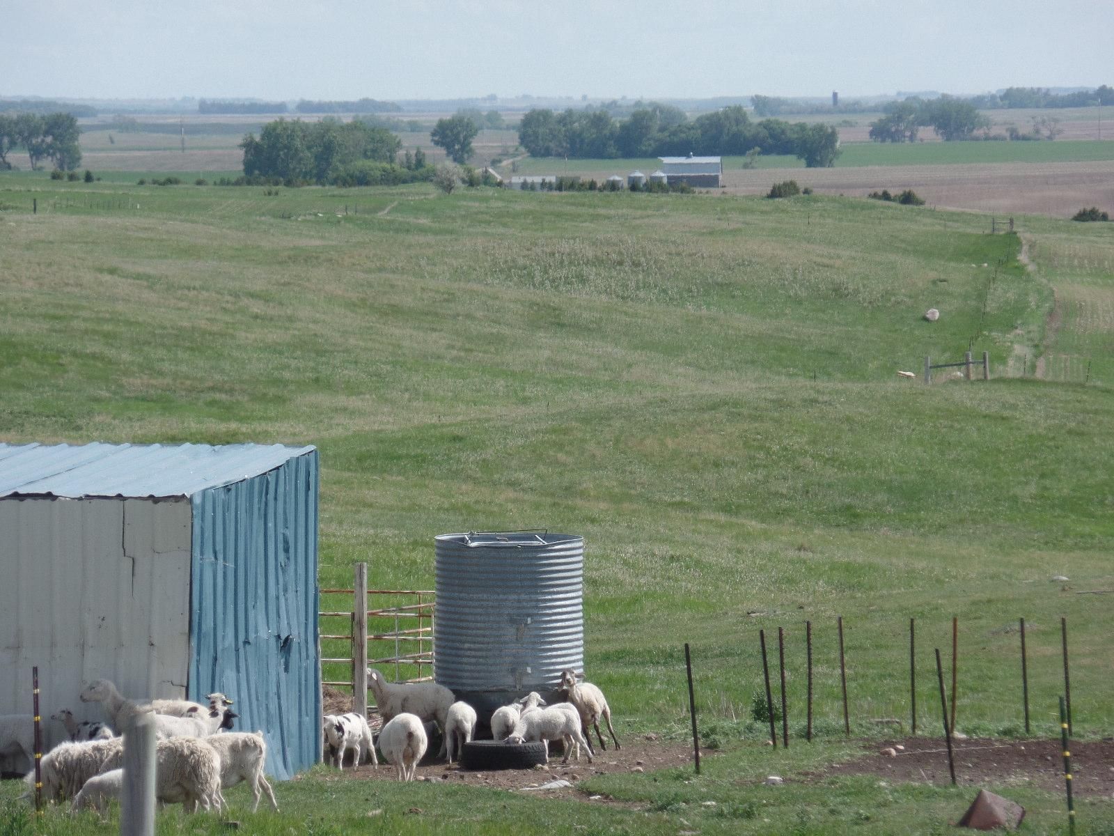 25 acres in Sheridan County, North Dakota