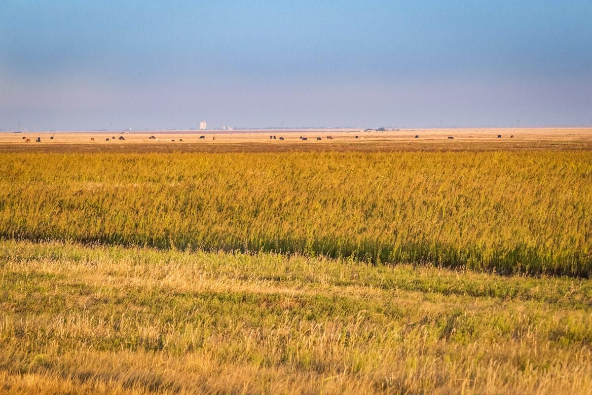 20 acres in Randall County, Texas