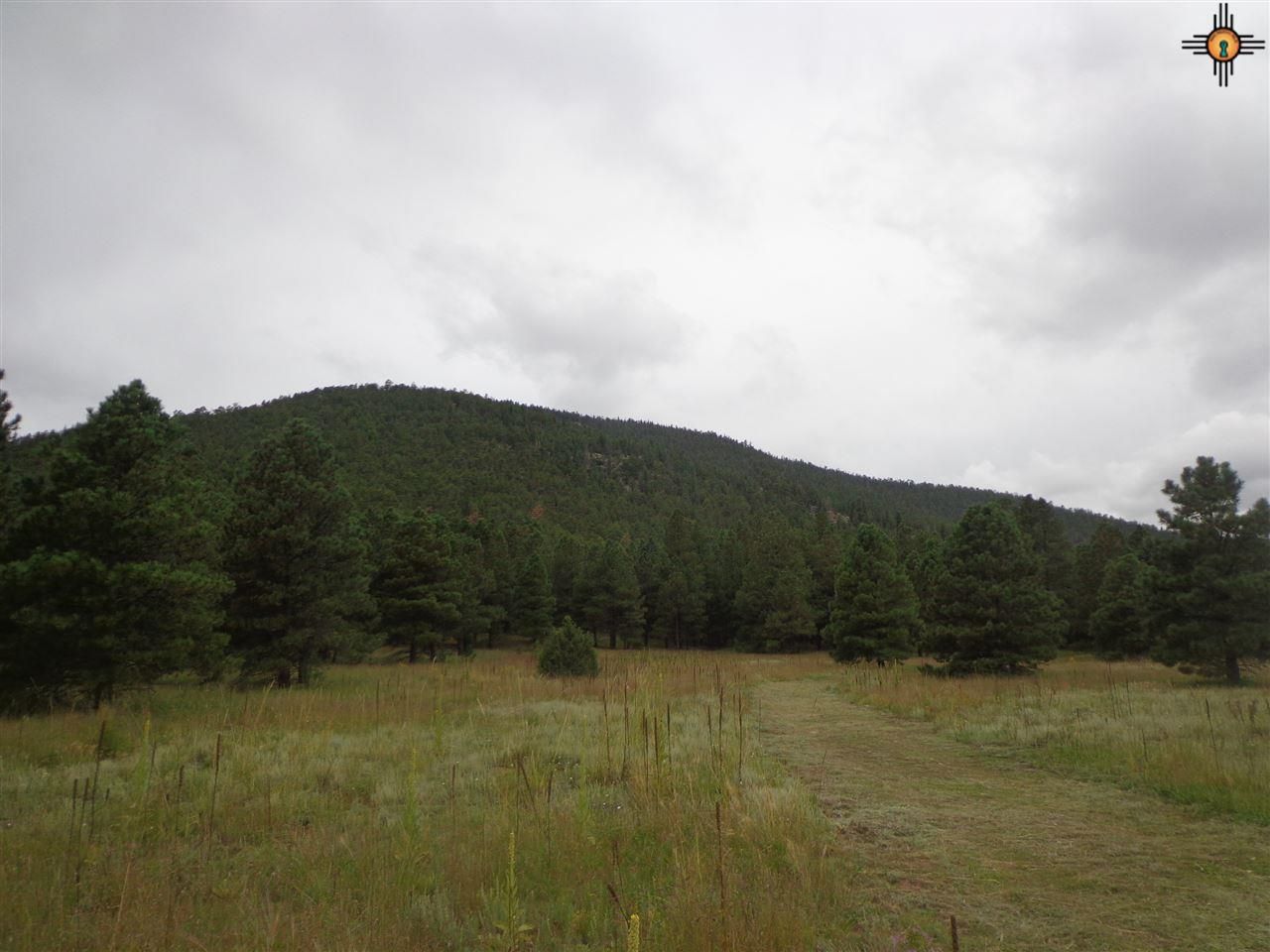 212 acres in Mora County, New Mexico