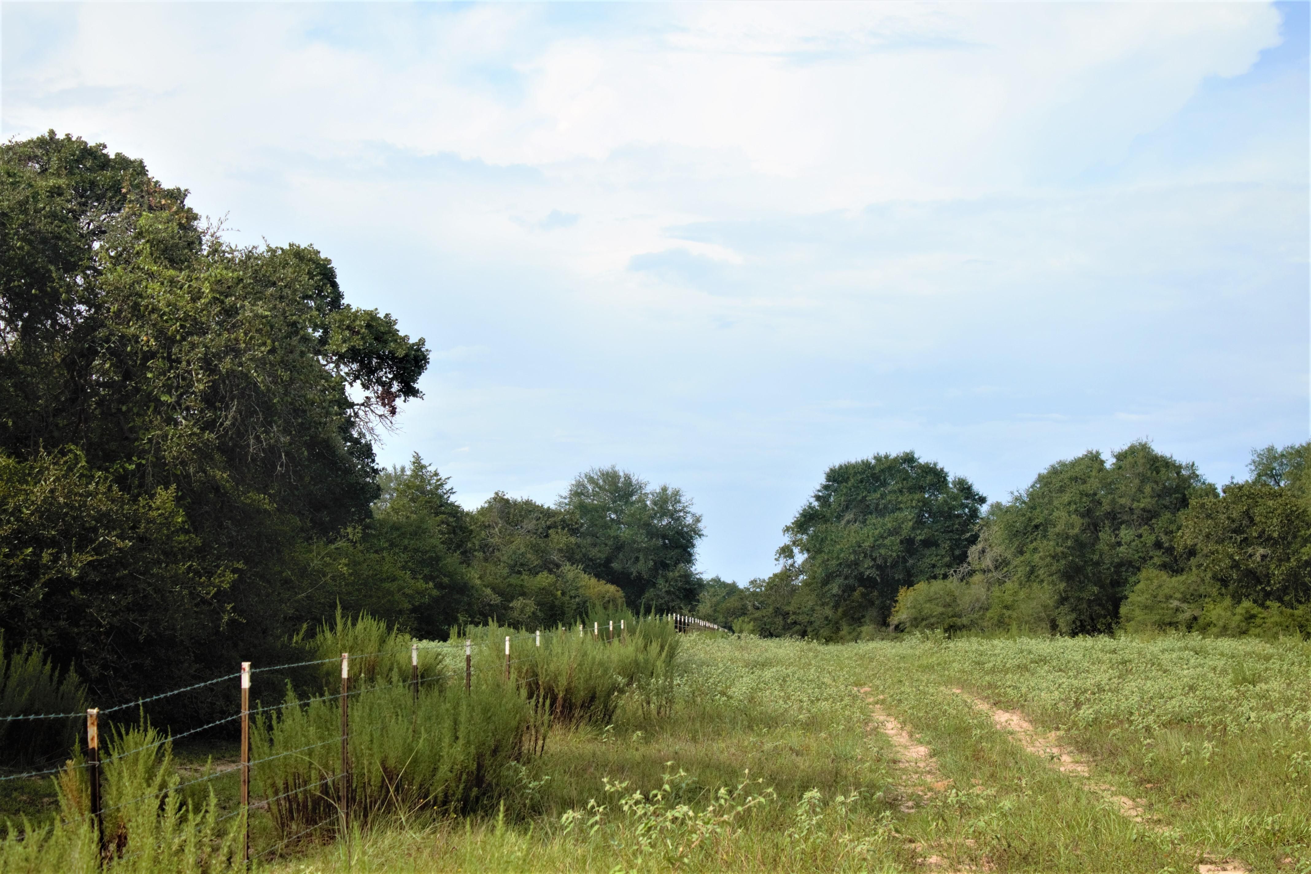 7 acres in Lavaca County, Texas