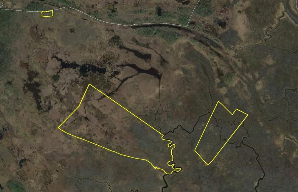 Willeys Neck Road, Crapo, MD 21626