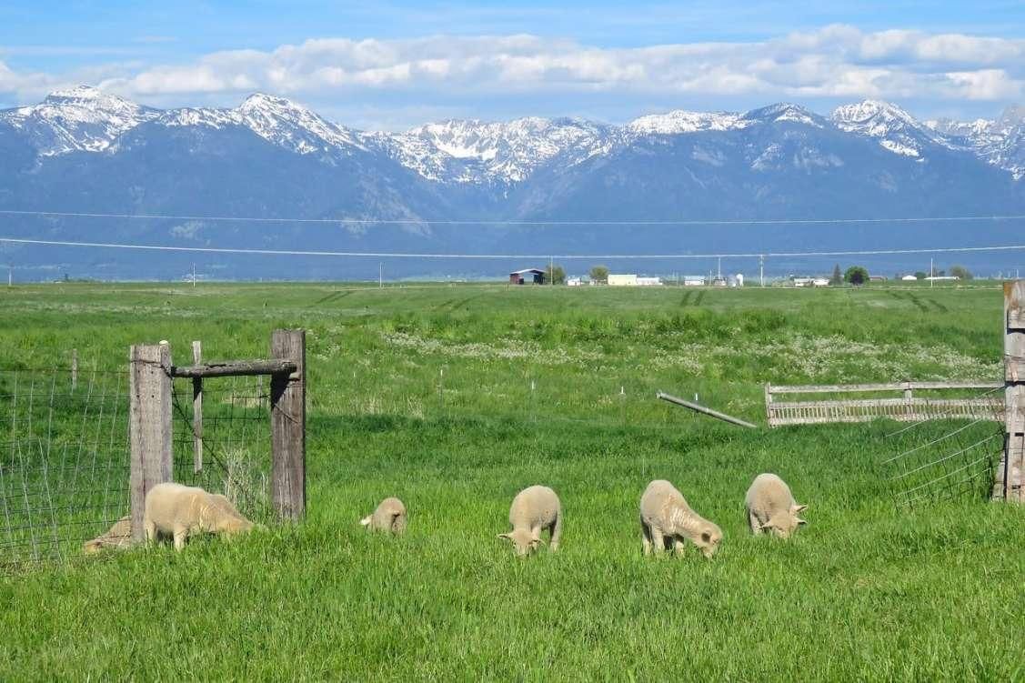 120 acres in Lake County, Montana