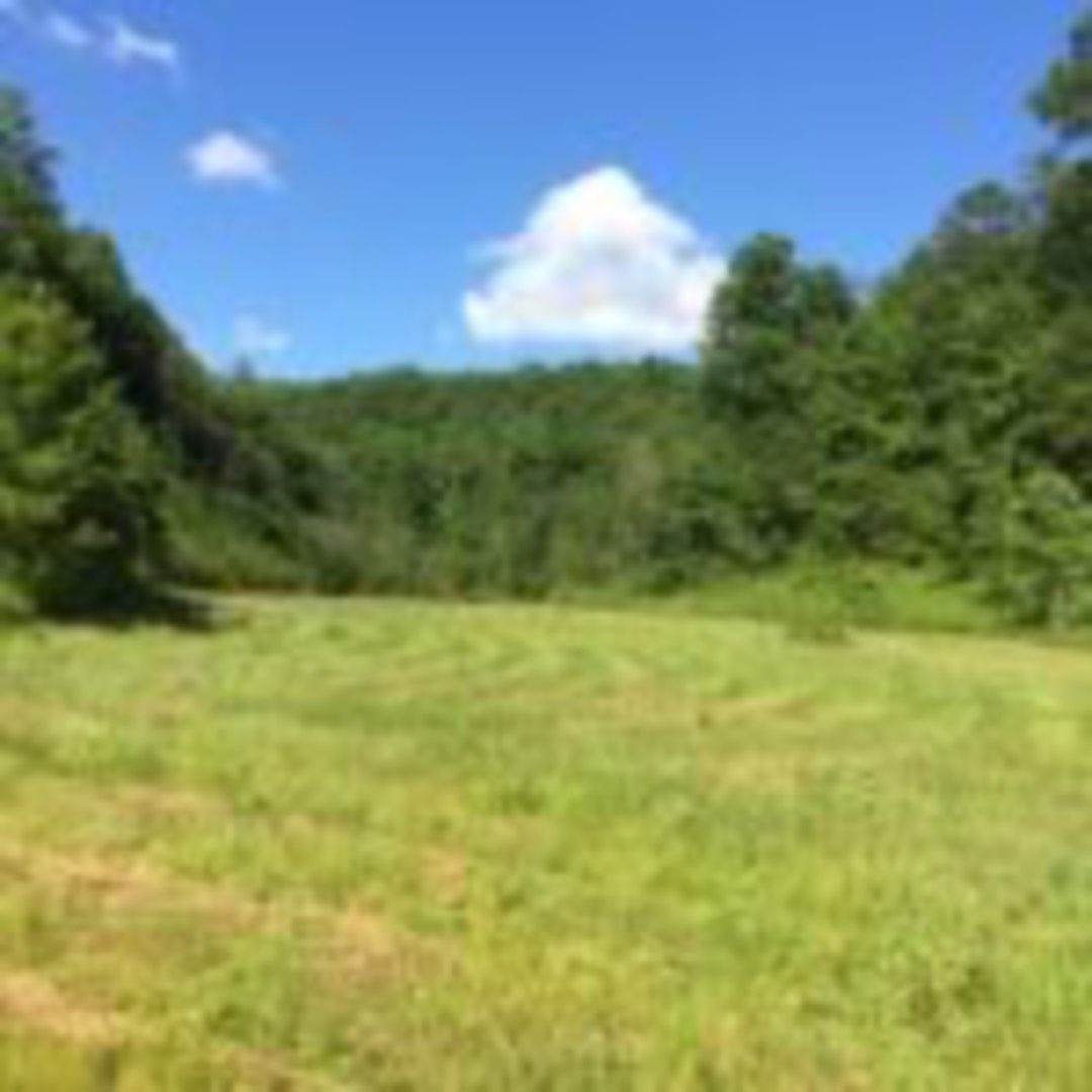 75 acres in Elliott County, Kentucky