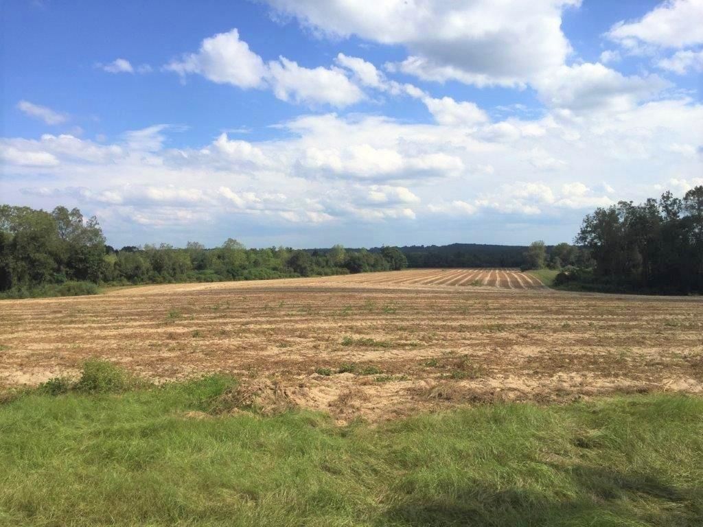 557 acres in Coffee County, Alabama