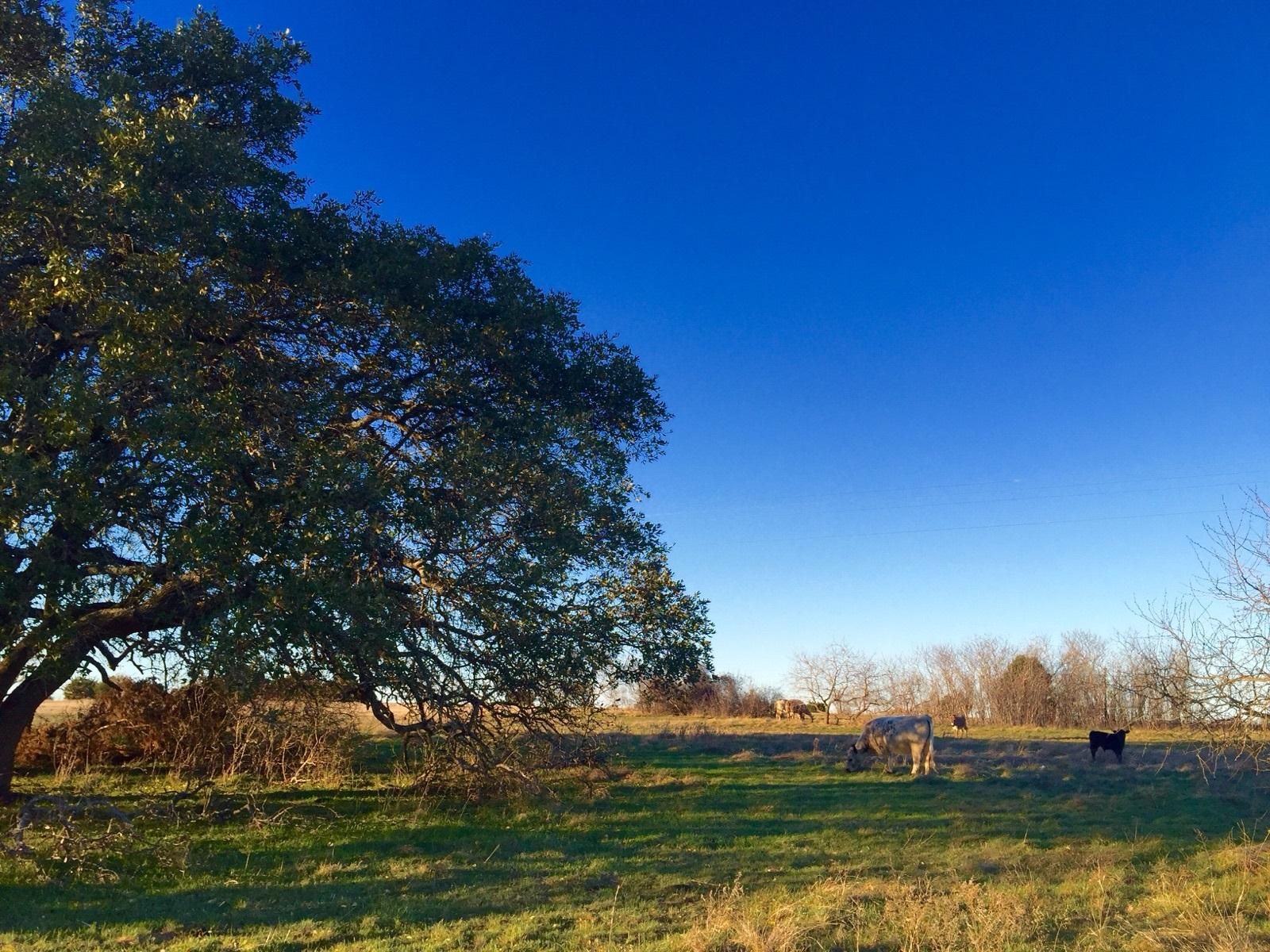 70 acres in McLennan County, Texas