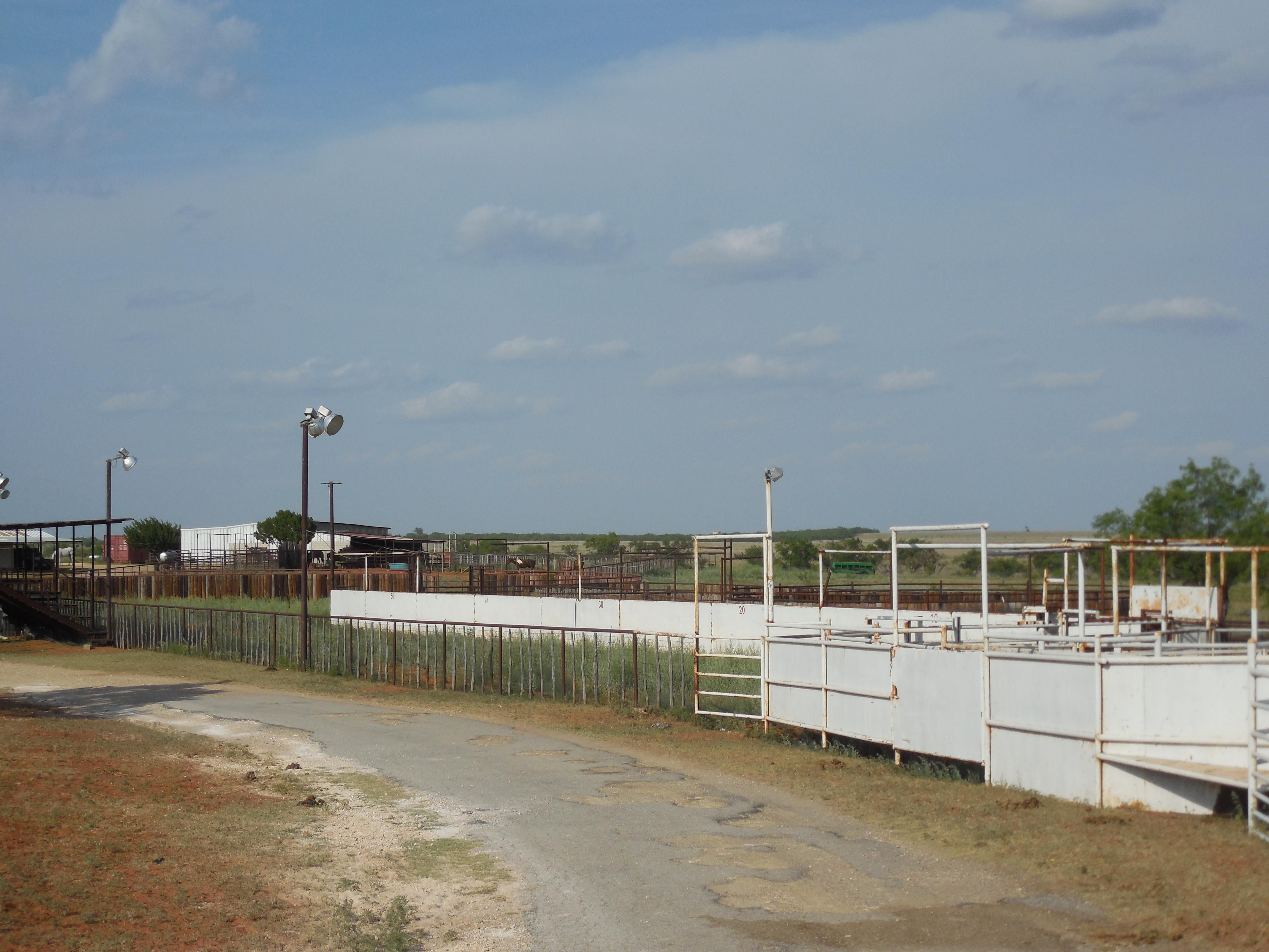 280 acres in Nolan County, Texas