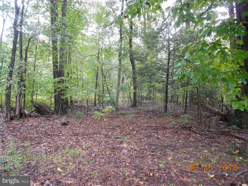 5.5 acres in Perry County, Pennsylvania