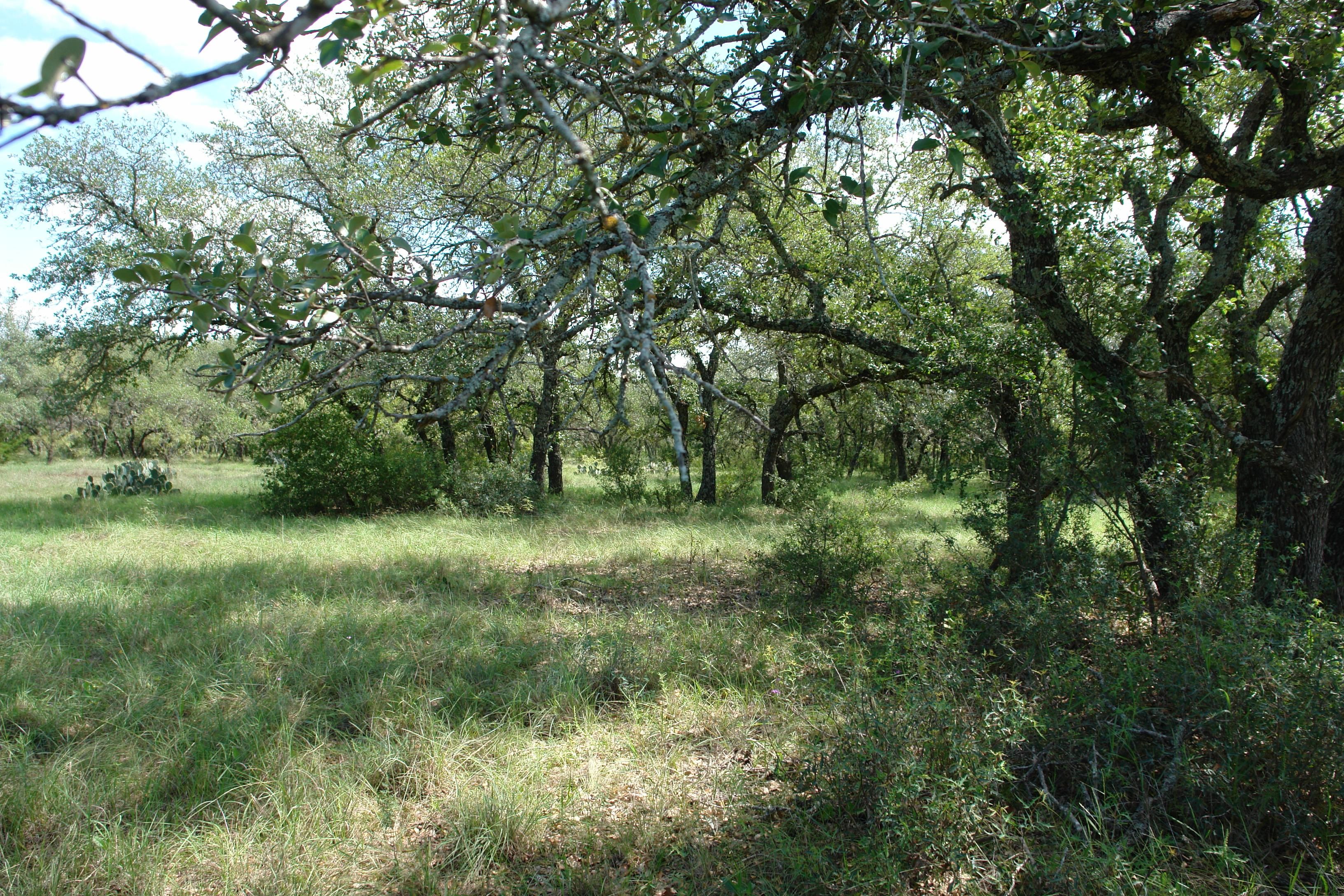 141 acres in Mills County, Texas