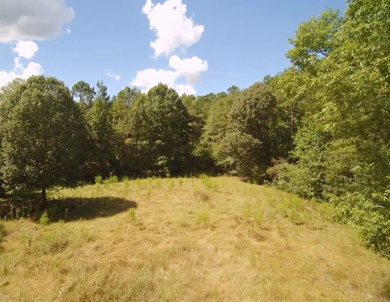 76 acres in Coosa County, Alabama