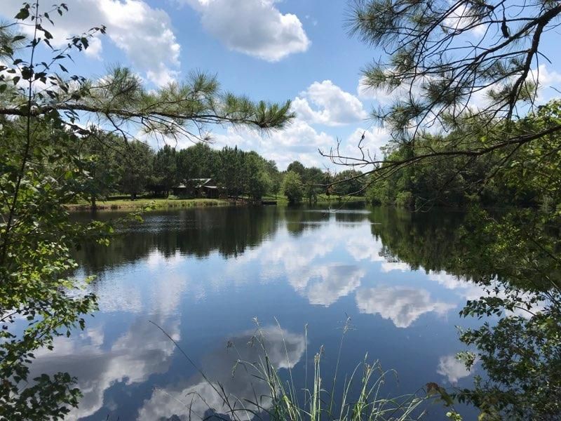 98 acres in Evans County,