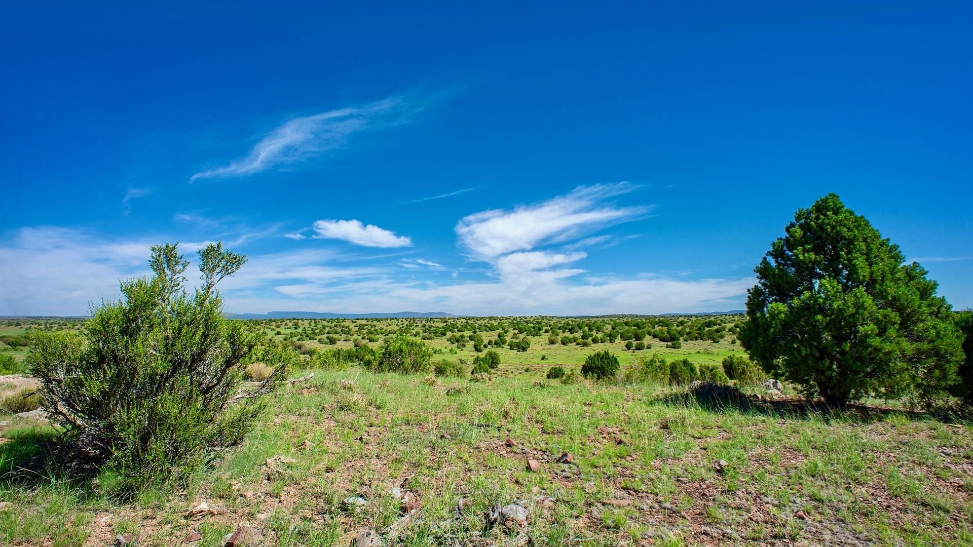 40 acres in Yavapai County, Arizona