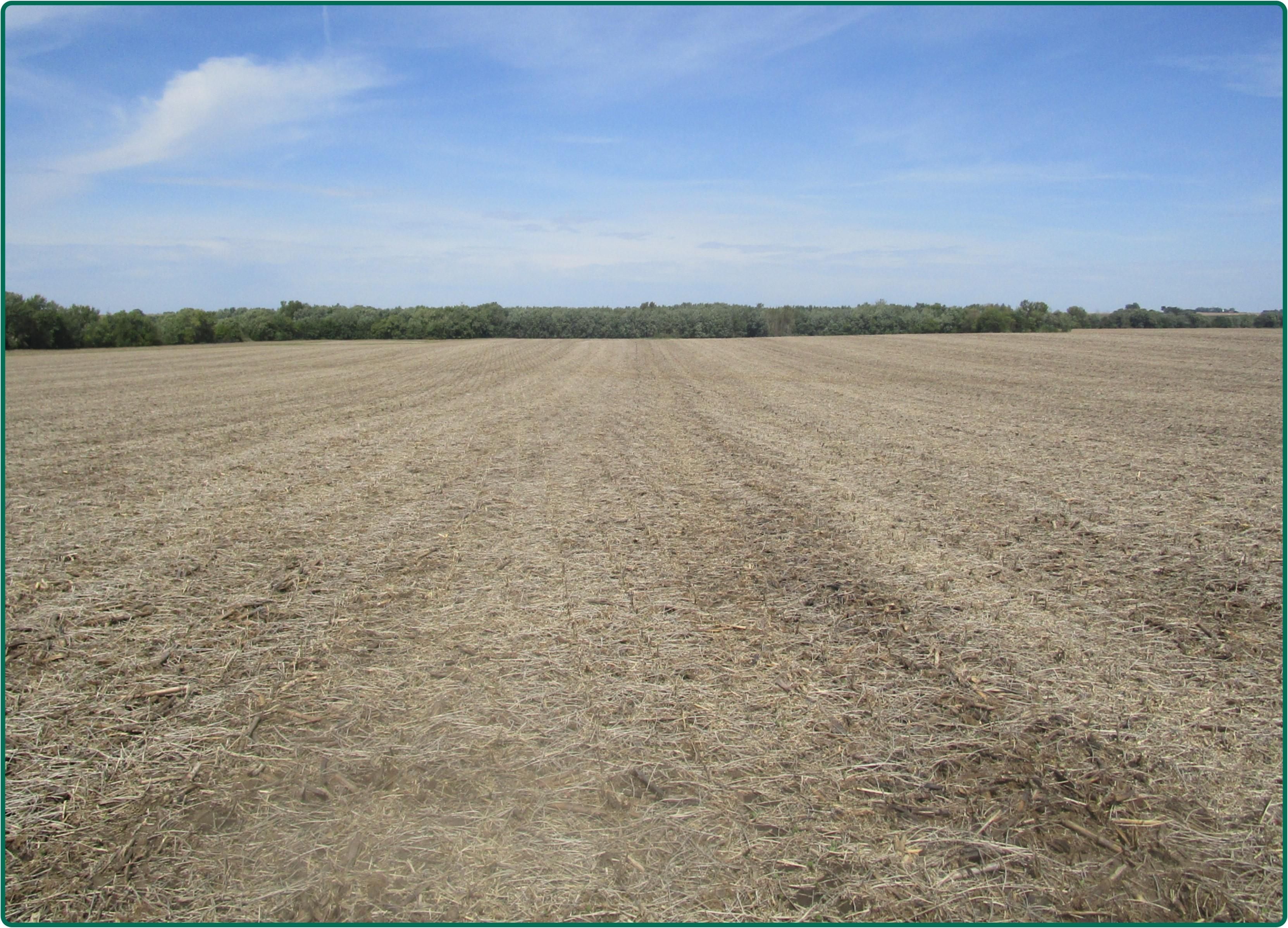 120 acres in Benton County, Iowa