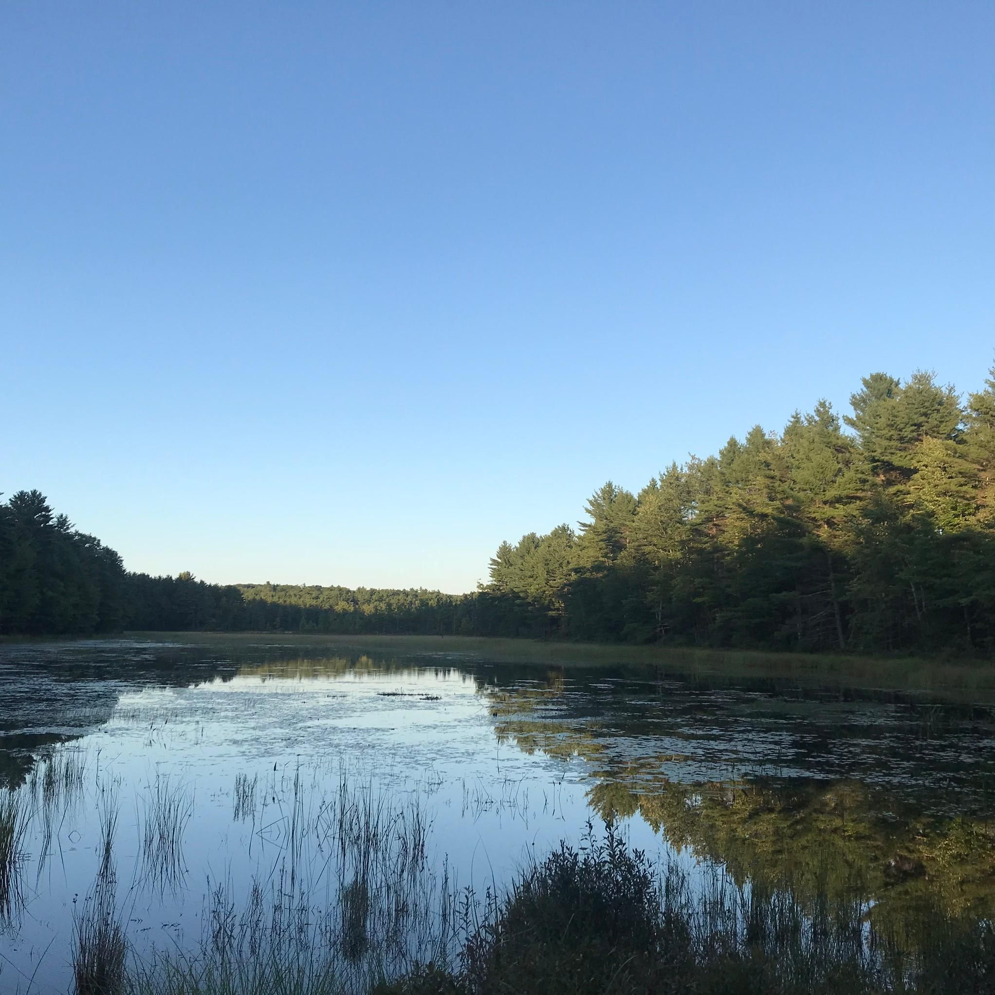 52 acres in Androscoggin County, Maine
