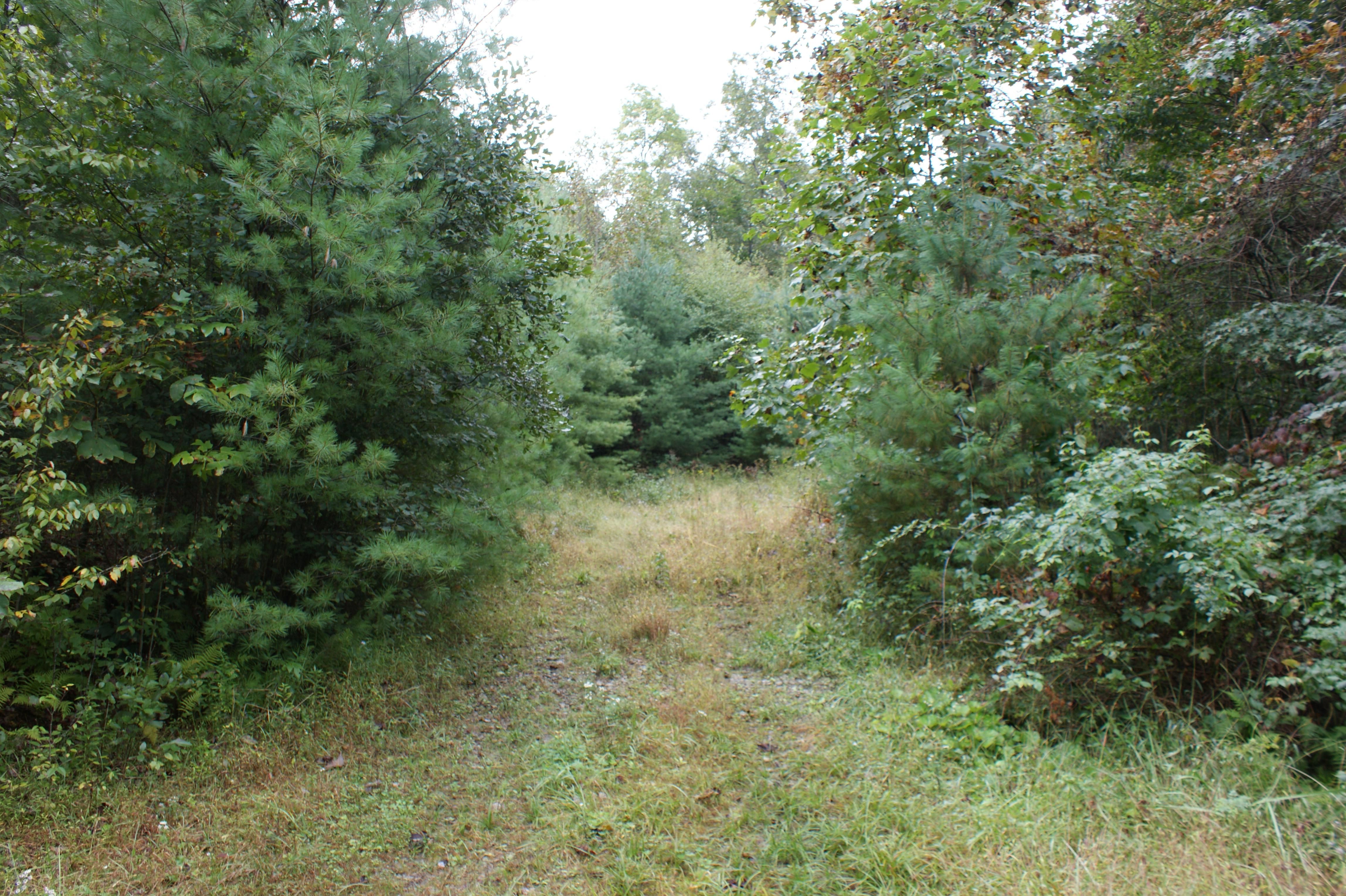 13 acres in Grayson County, Virginia