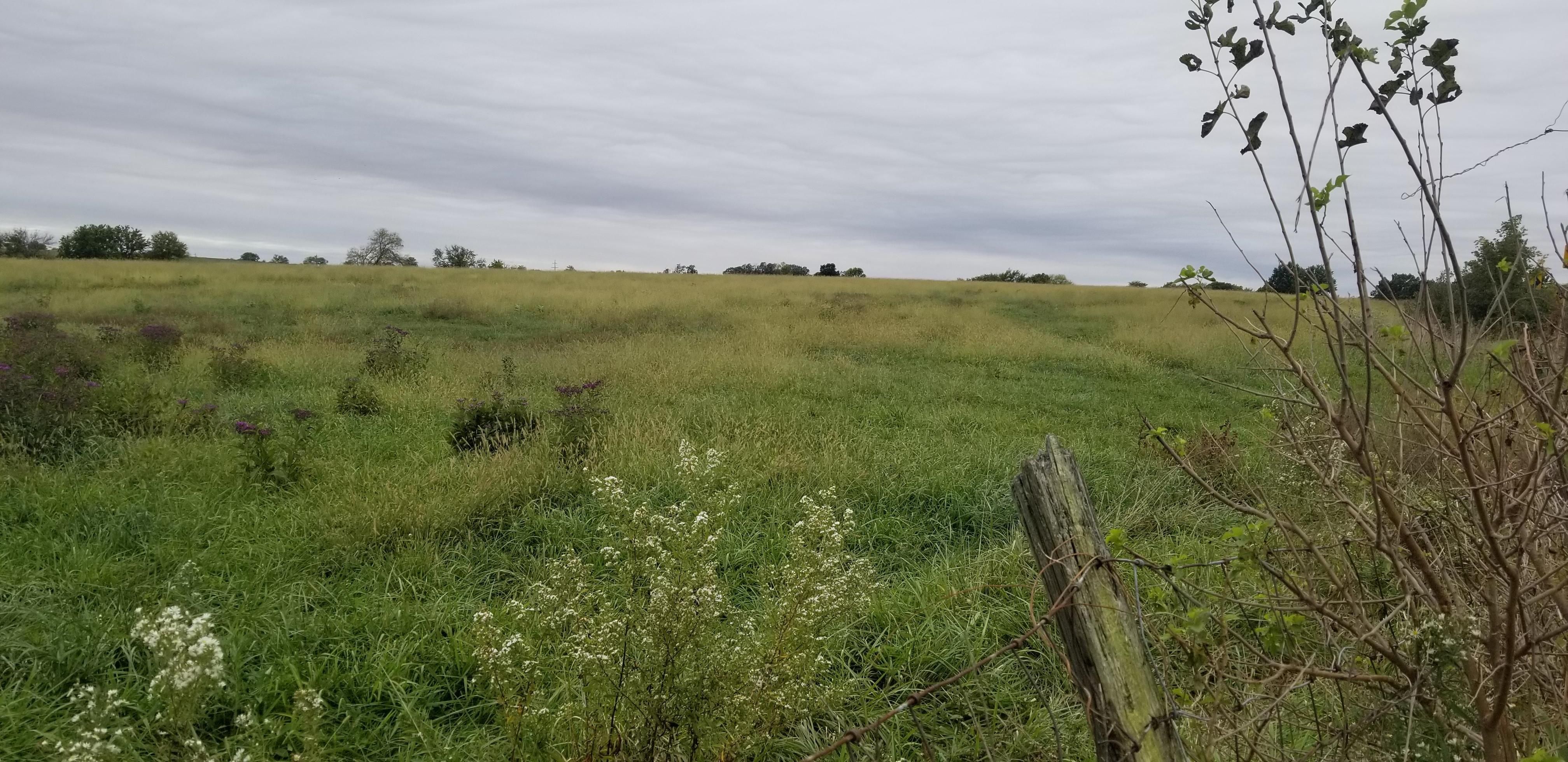 32 acres in Clay County, Missouri