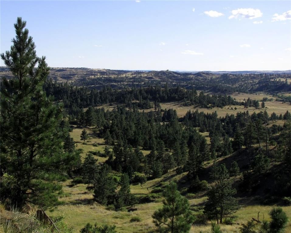 644 acres in Treasure County, Montana