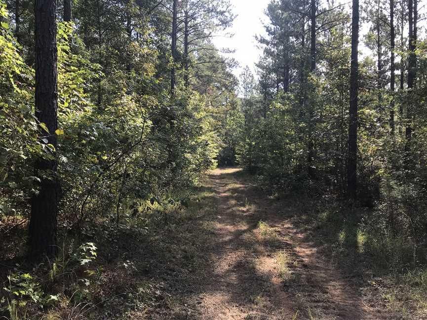 261 acres in Pickens County, Alabama