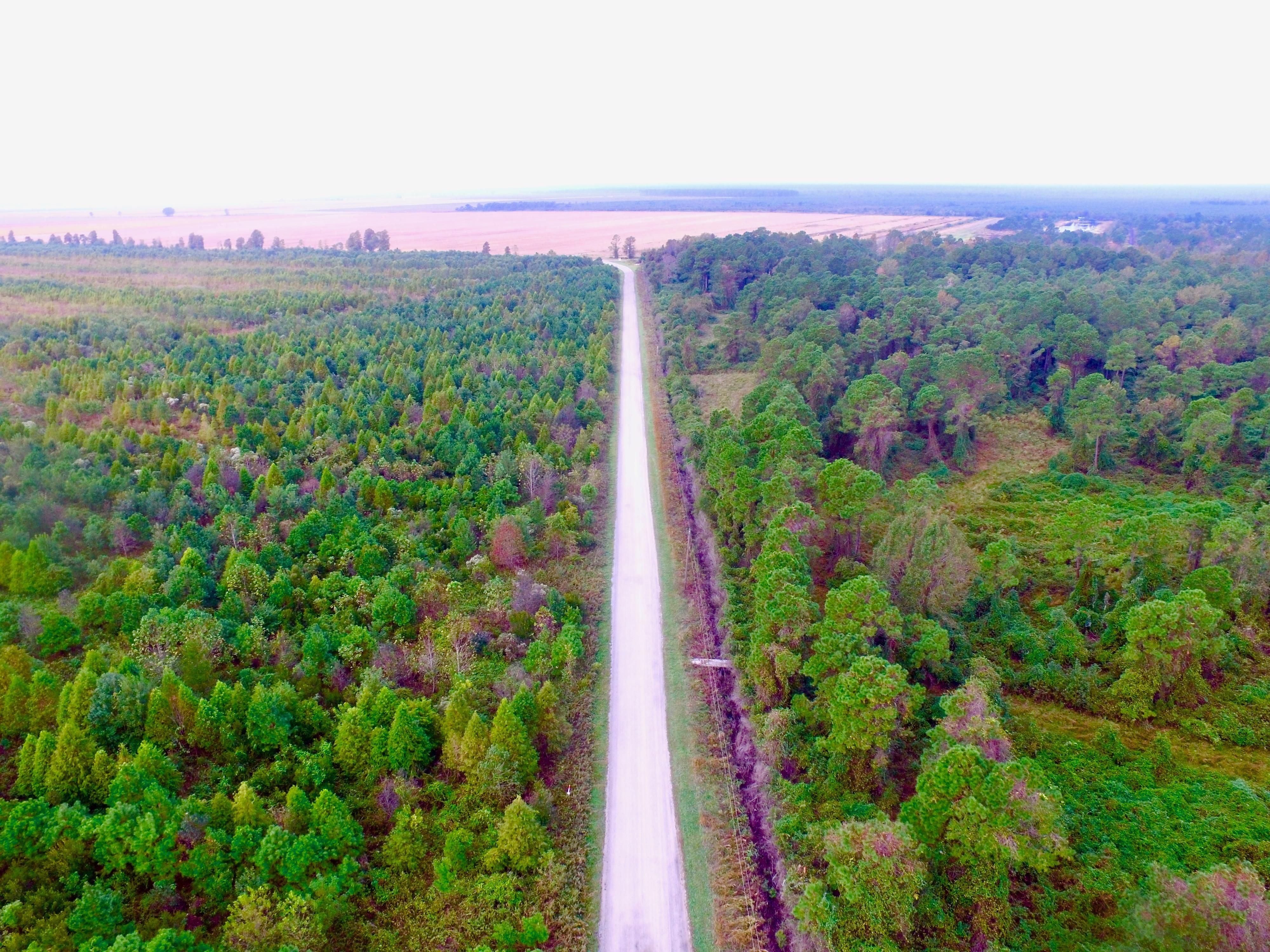 47 acres in Hyde County, North Carolina