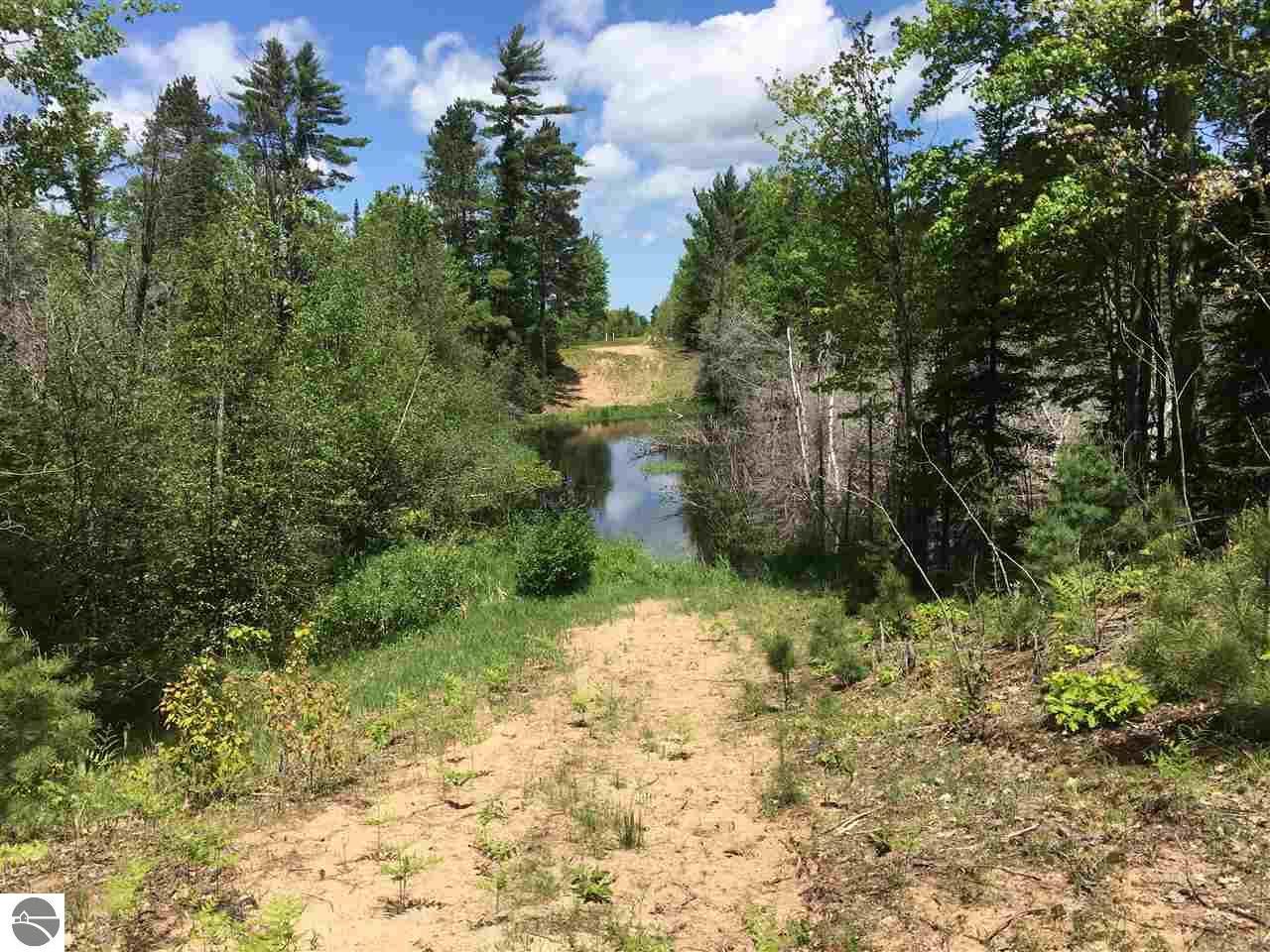 5 acres in Grand Traverse County, Michigan
