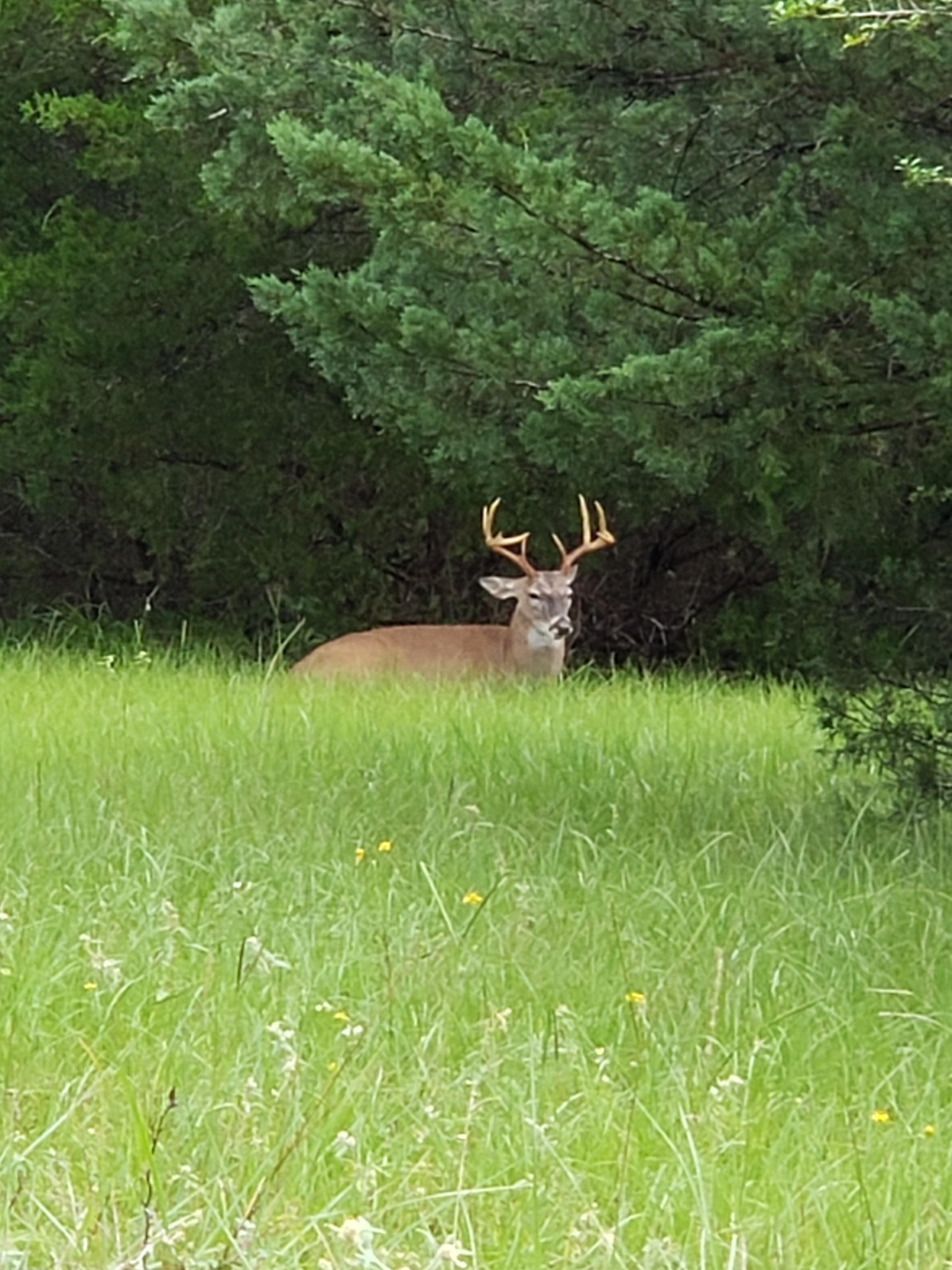 100 acres in Lavaca County, Texas
