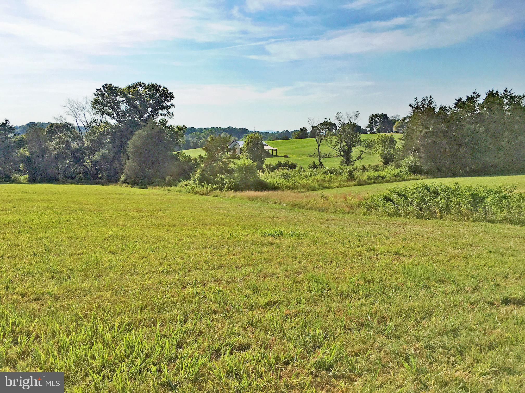 300 acres in Culpeper County, Virginia