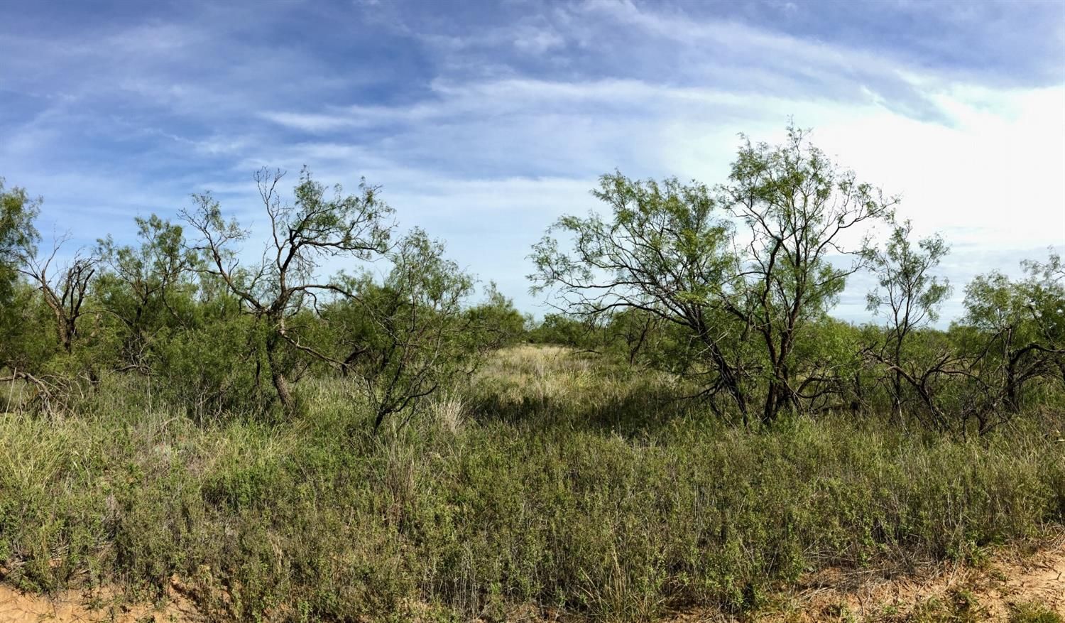 5 acres in Motley County, Texas