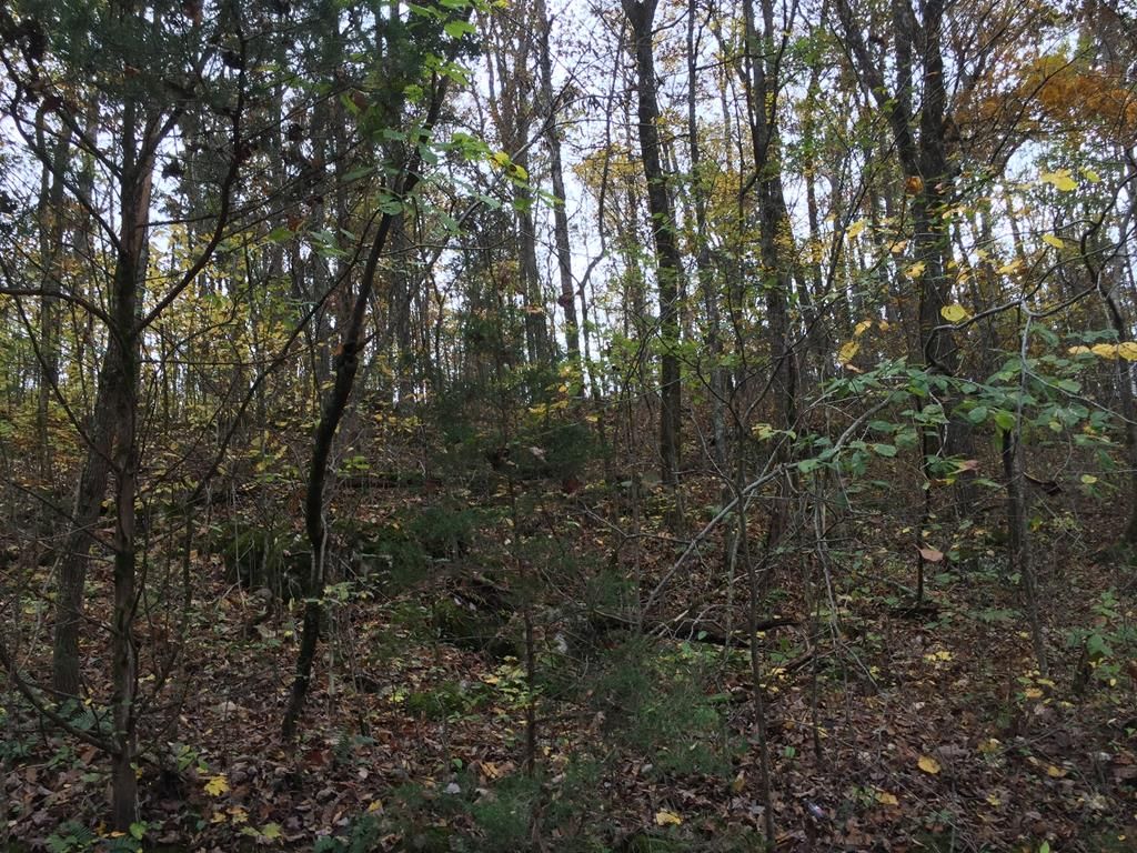 28 acres in White County, Tennessee