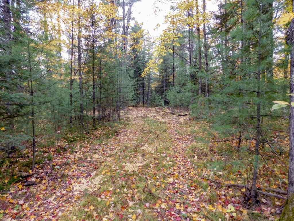 4.35 acres in County, Wisconsin