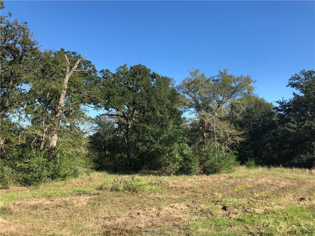 2.07 acres in Grimes County, Texas