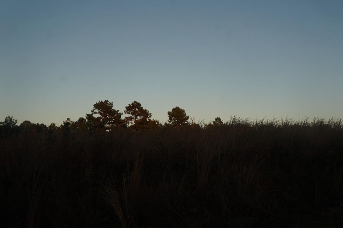 20 acres in Jefferson Davis County, Mississippi