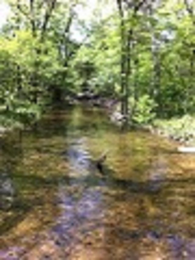 84 acres in Sharp County, Arkansas