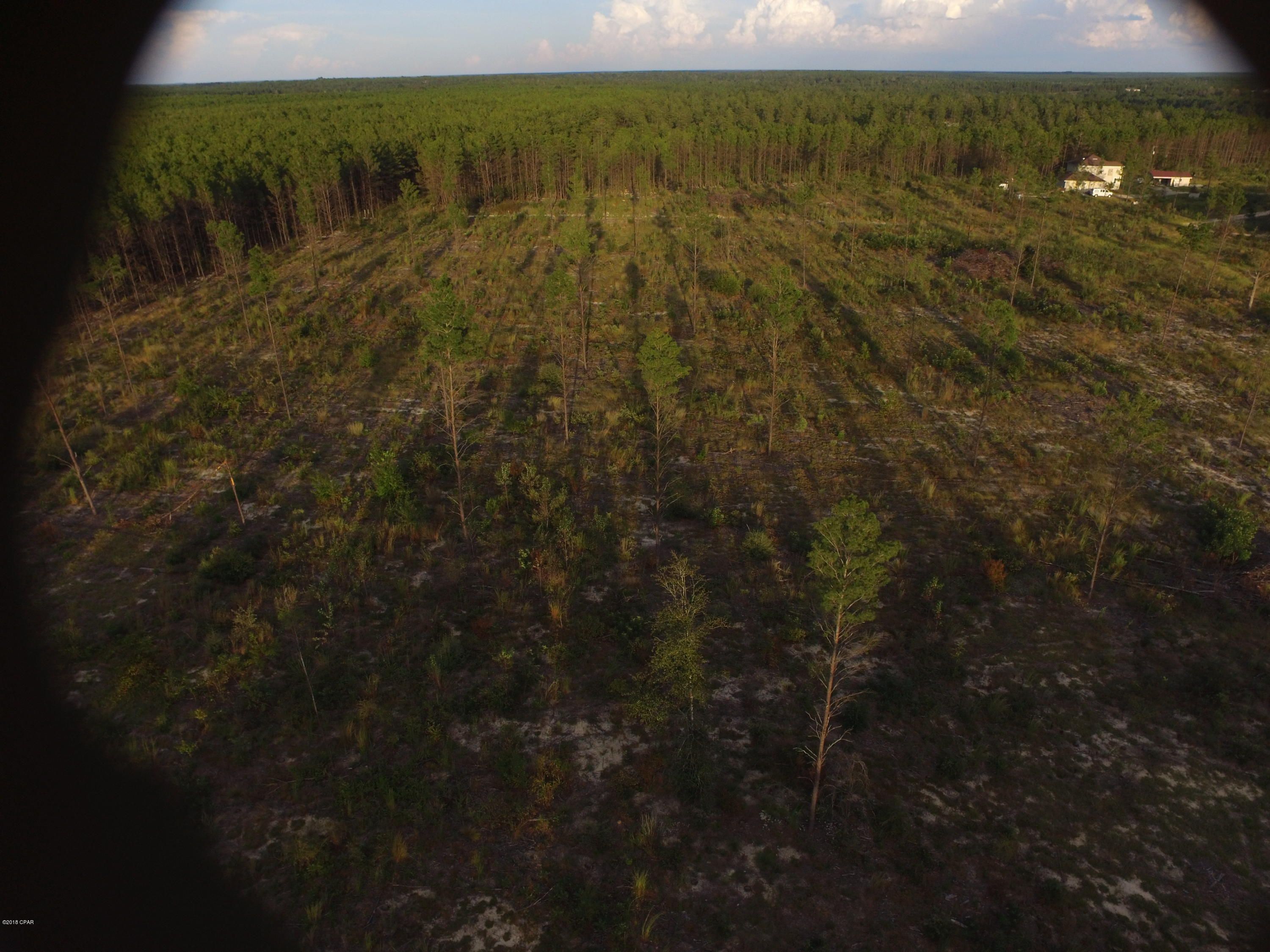 5 acres in Washington County, Florida