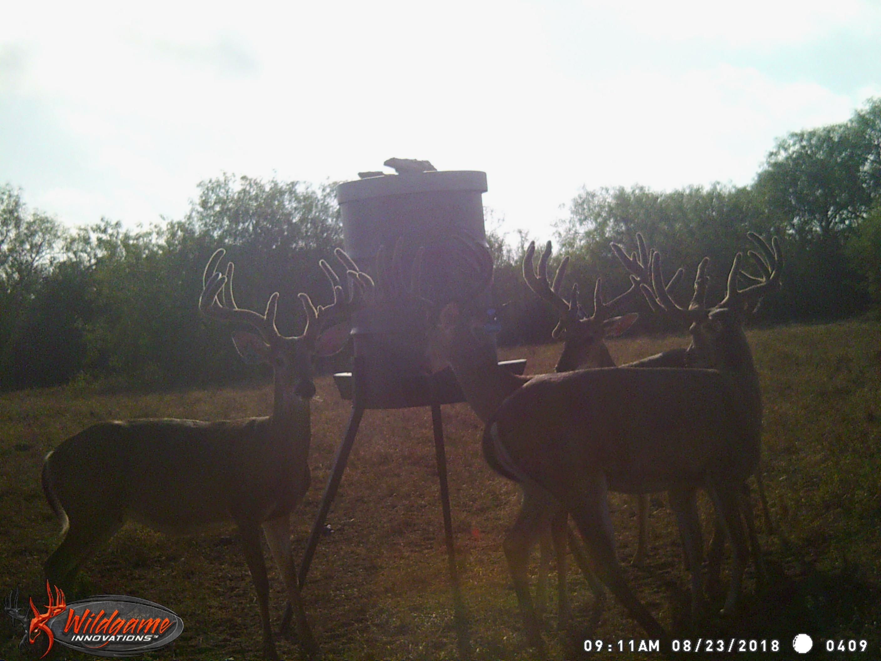 414 acres in Duval County, Texas