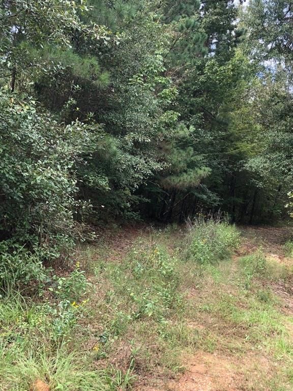 26.2 acres in Natchitoches Parish, Louisiana