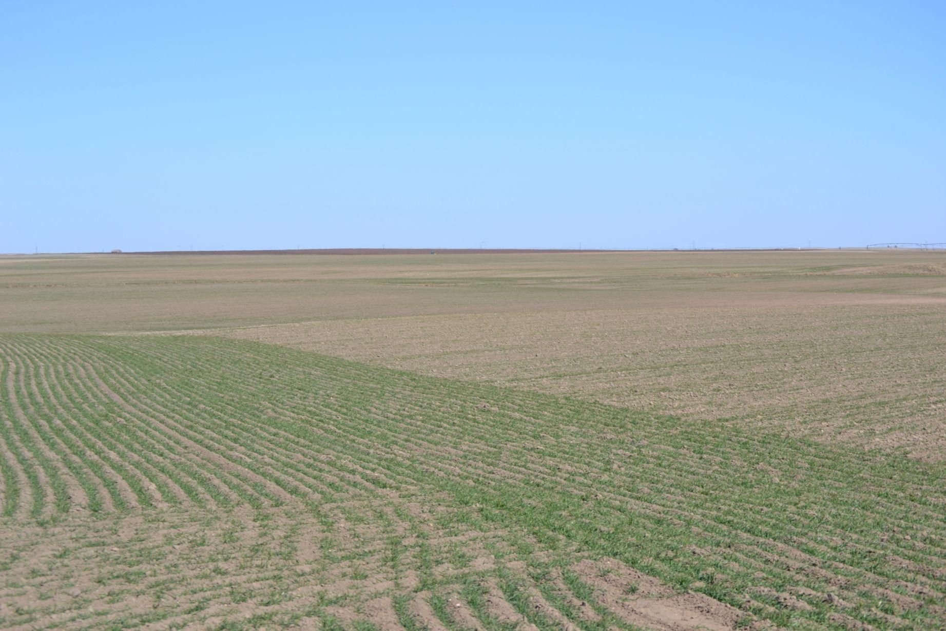 318 acres in Cheyenne County, Nebraska