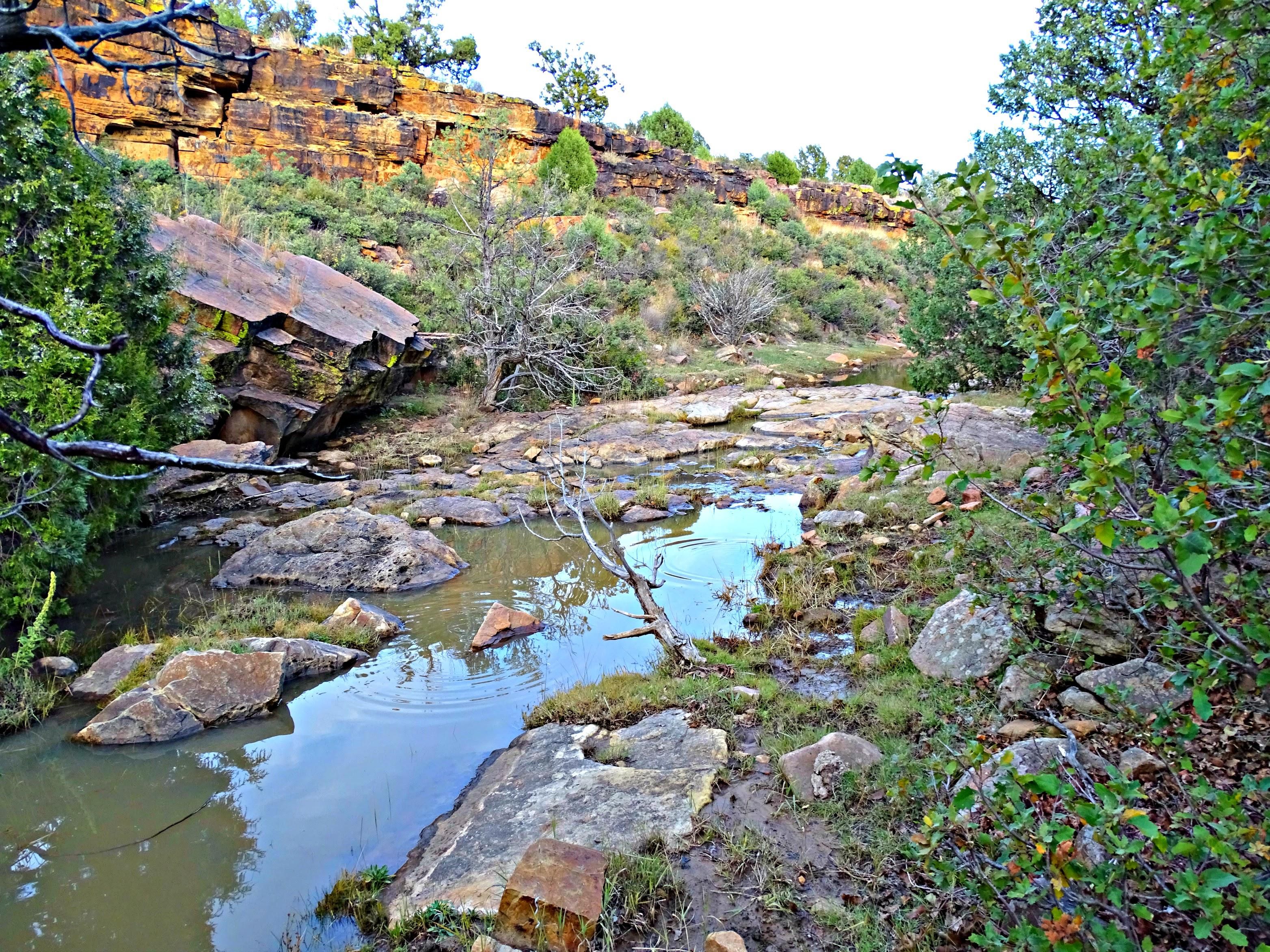 850 acres in Harding County, New Mexico