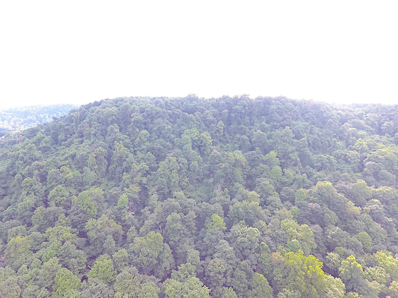 71 acres in Jefferson County, Ohio