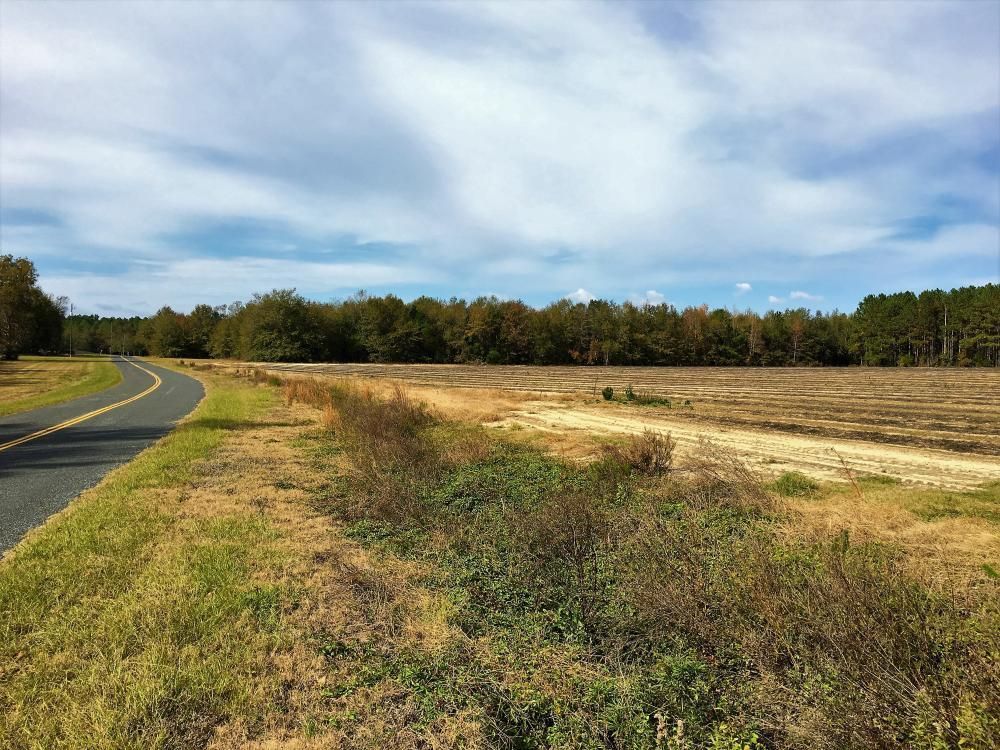 30.12 acres in Barnwell County, South Carolina