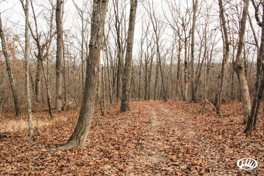 118 acres in Miller County, Missouri