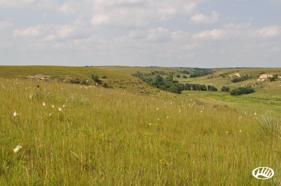 5,527 acres in Rooks County, Kansas