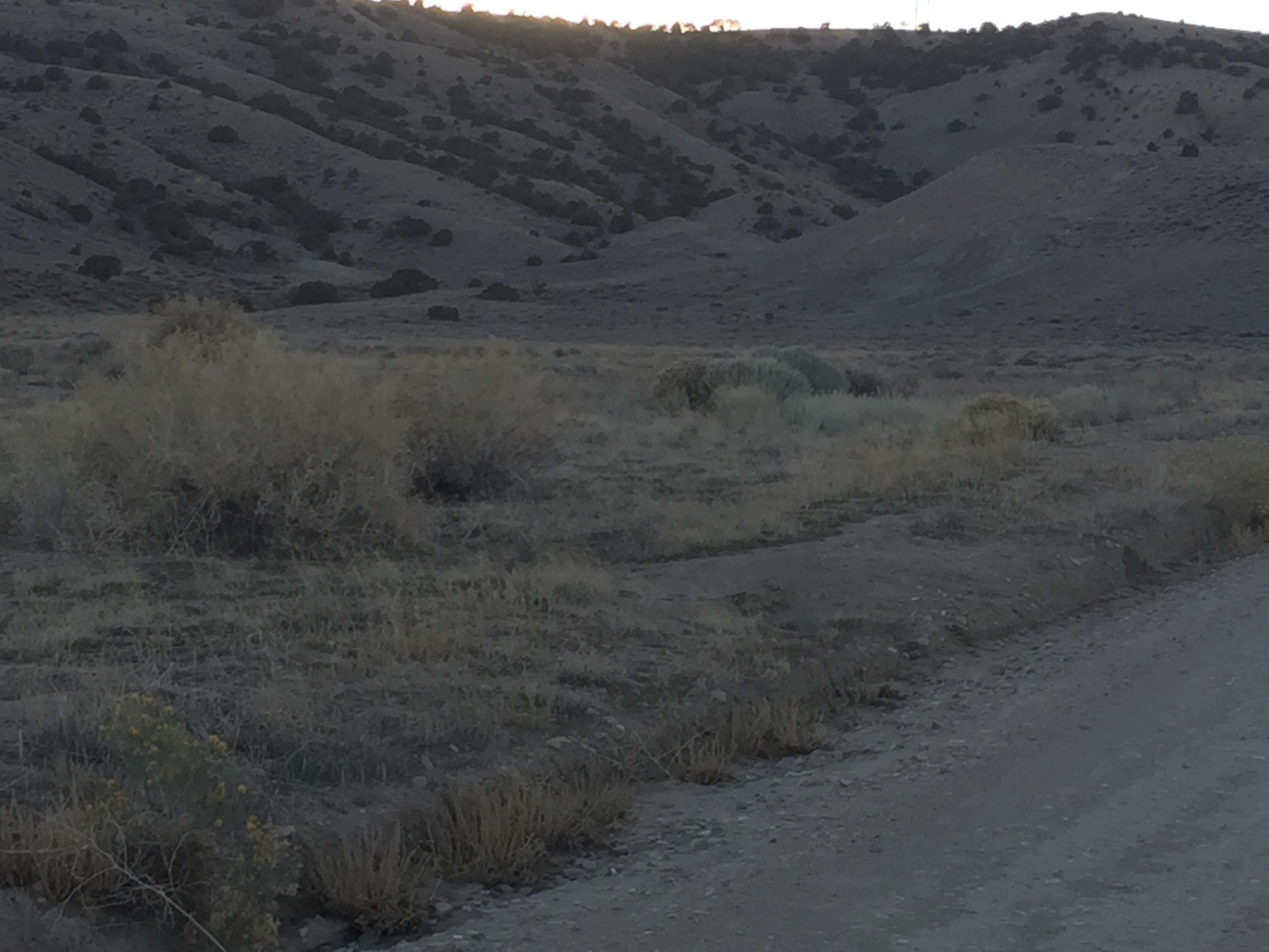 40 acres in Duchesne County, Utah